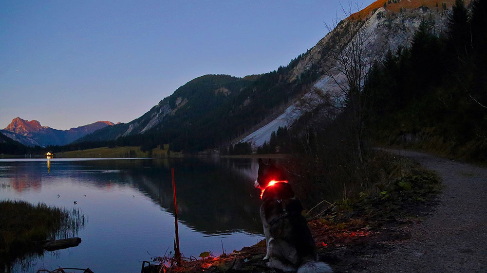 Abendstimmung am Bergsee mit Leuchthalsband LEUCHTIE